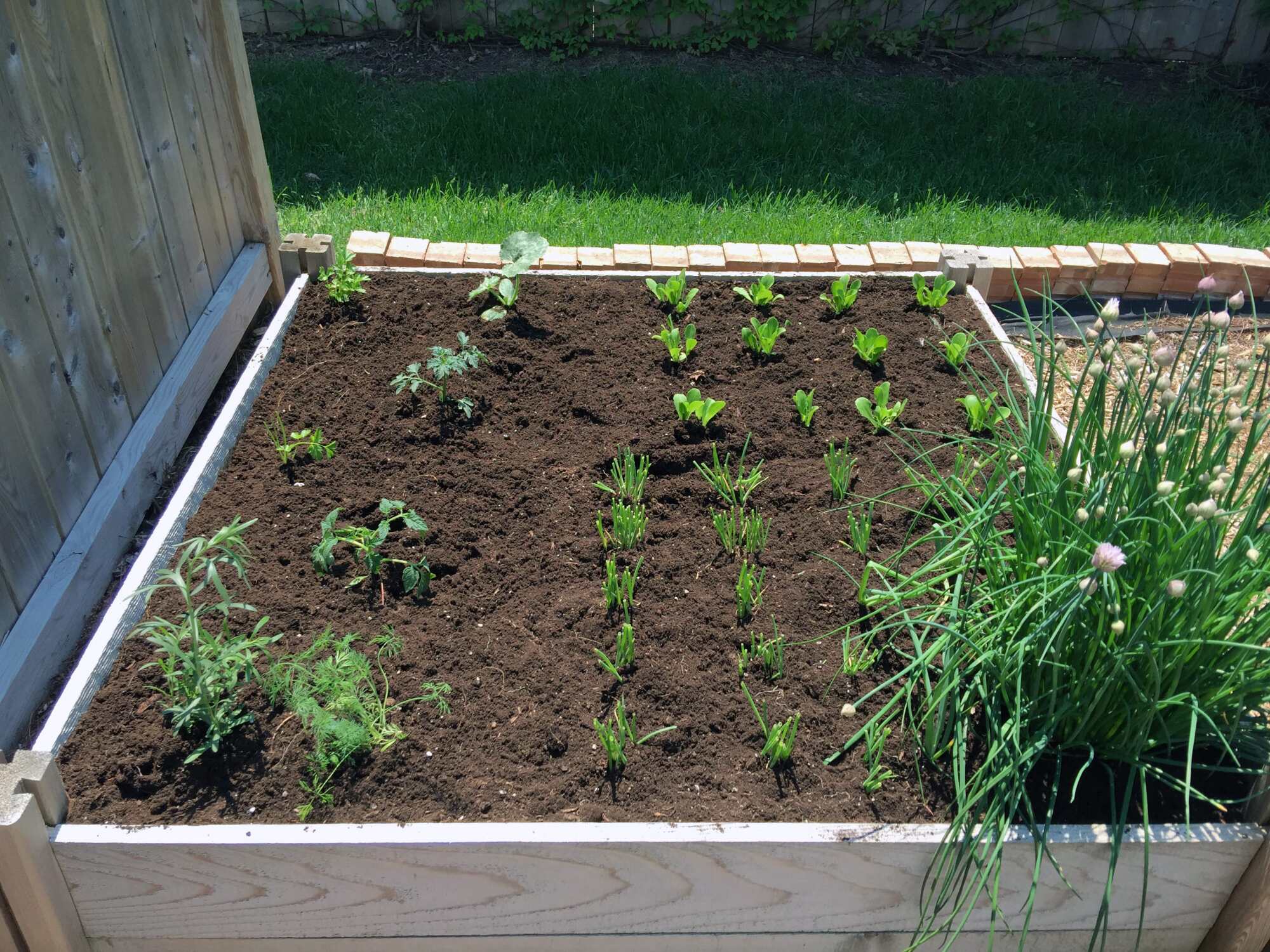 Entretien de massifs et potagers