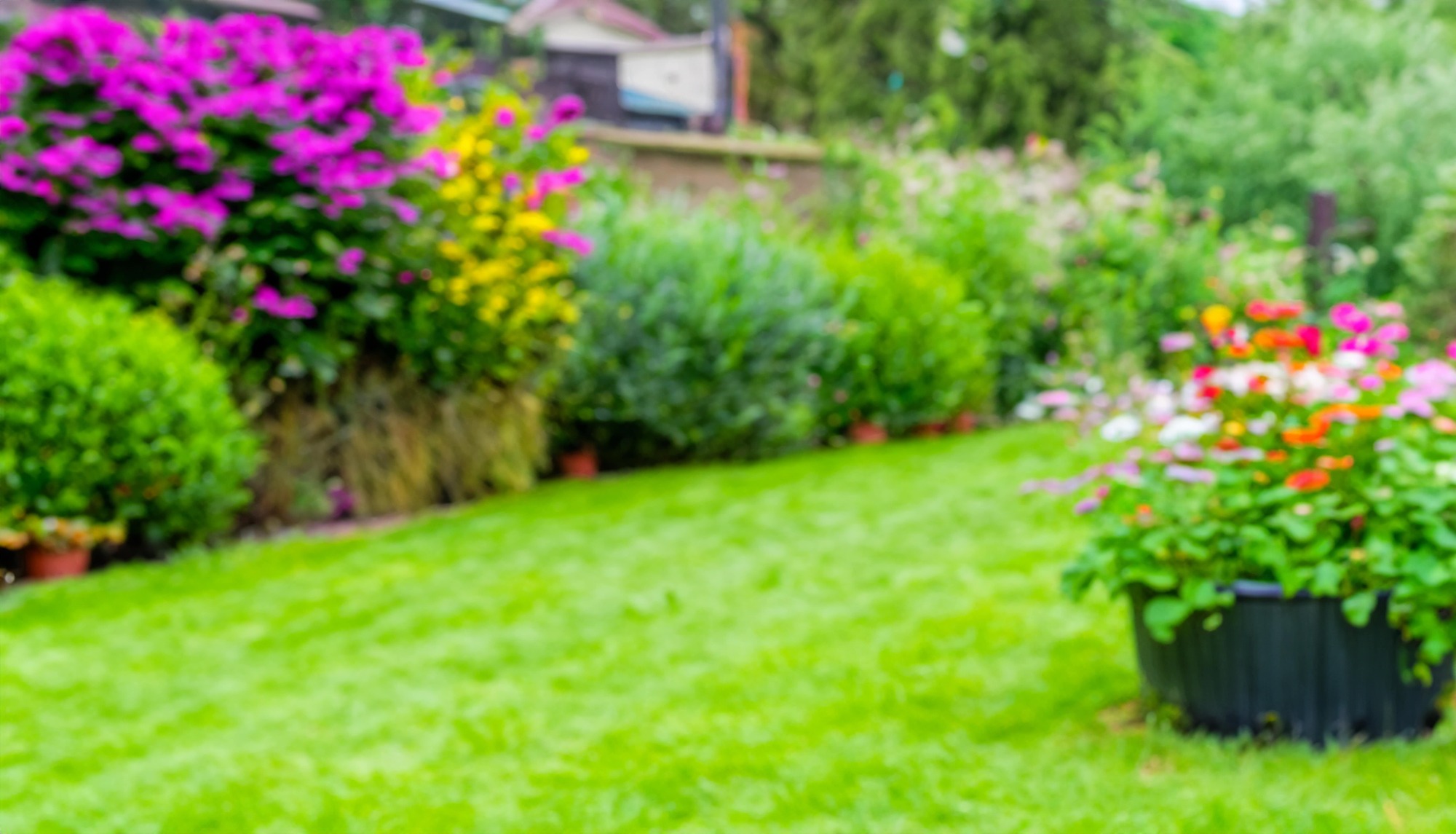 Planification et création de jardins thématiques