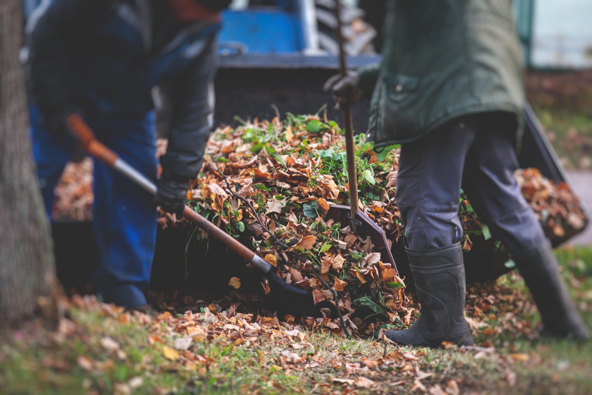 Ramassage des feuilles et déchets verts