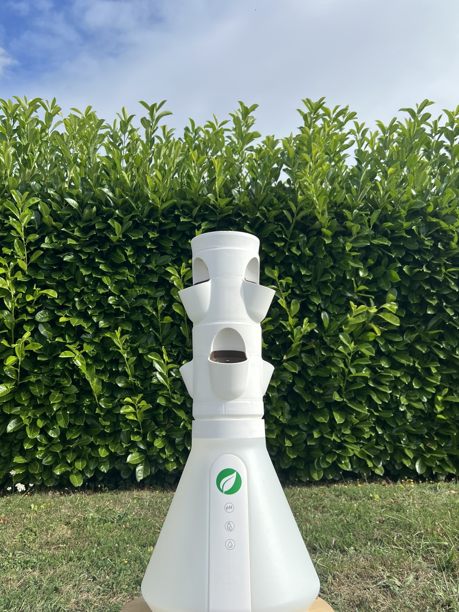 HomePotager Tradi – Culture Hydroponique, 6 Plants,  Extérieur