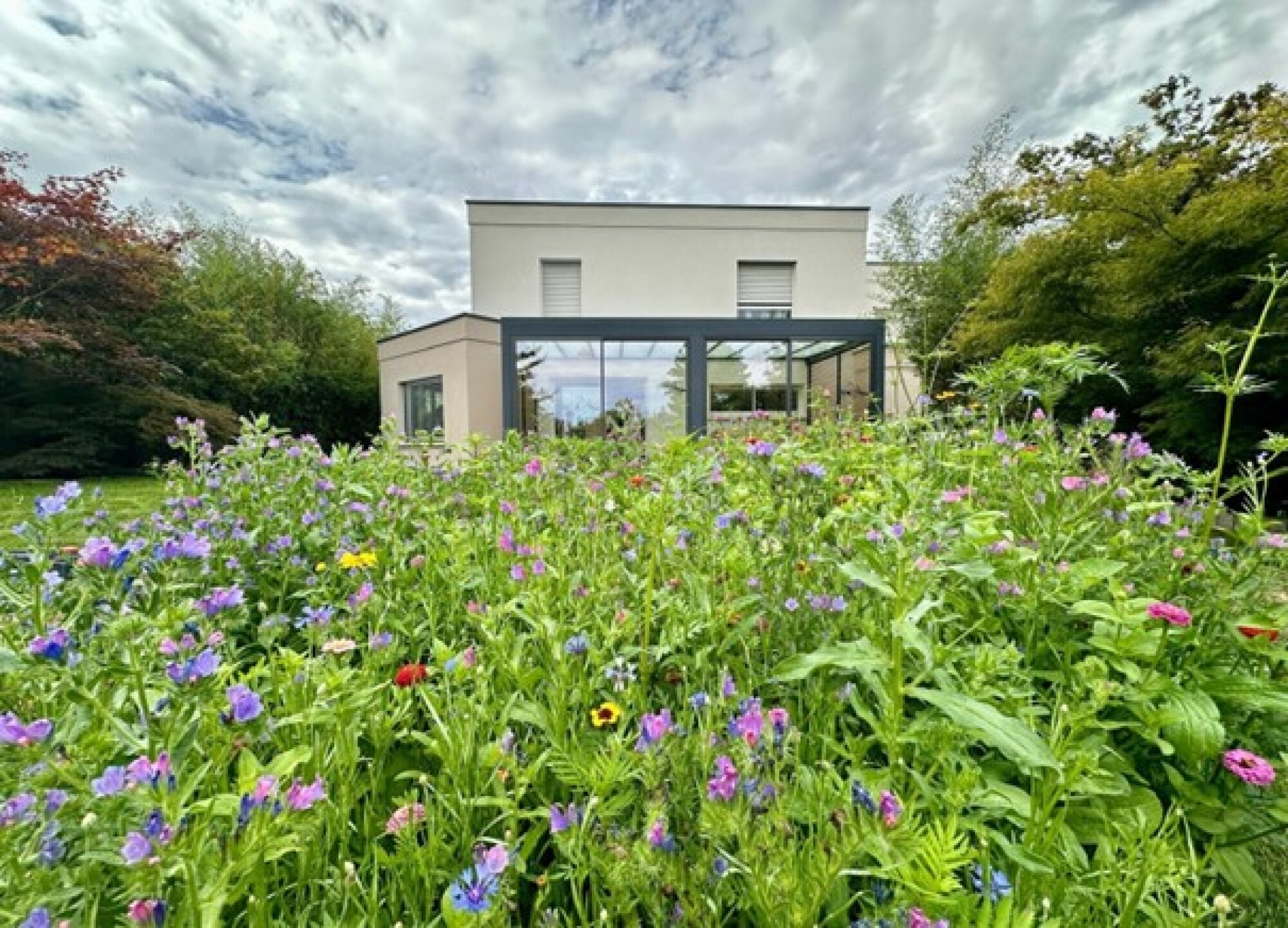 Maison avec véranda