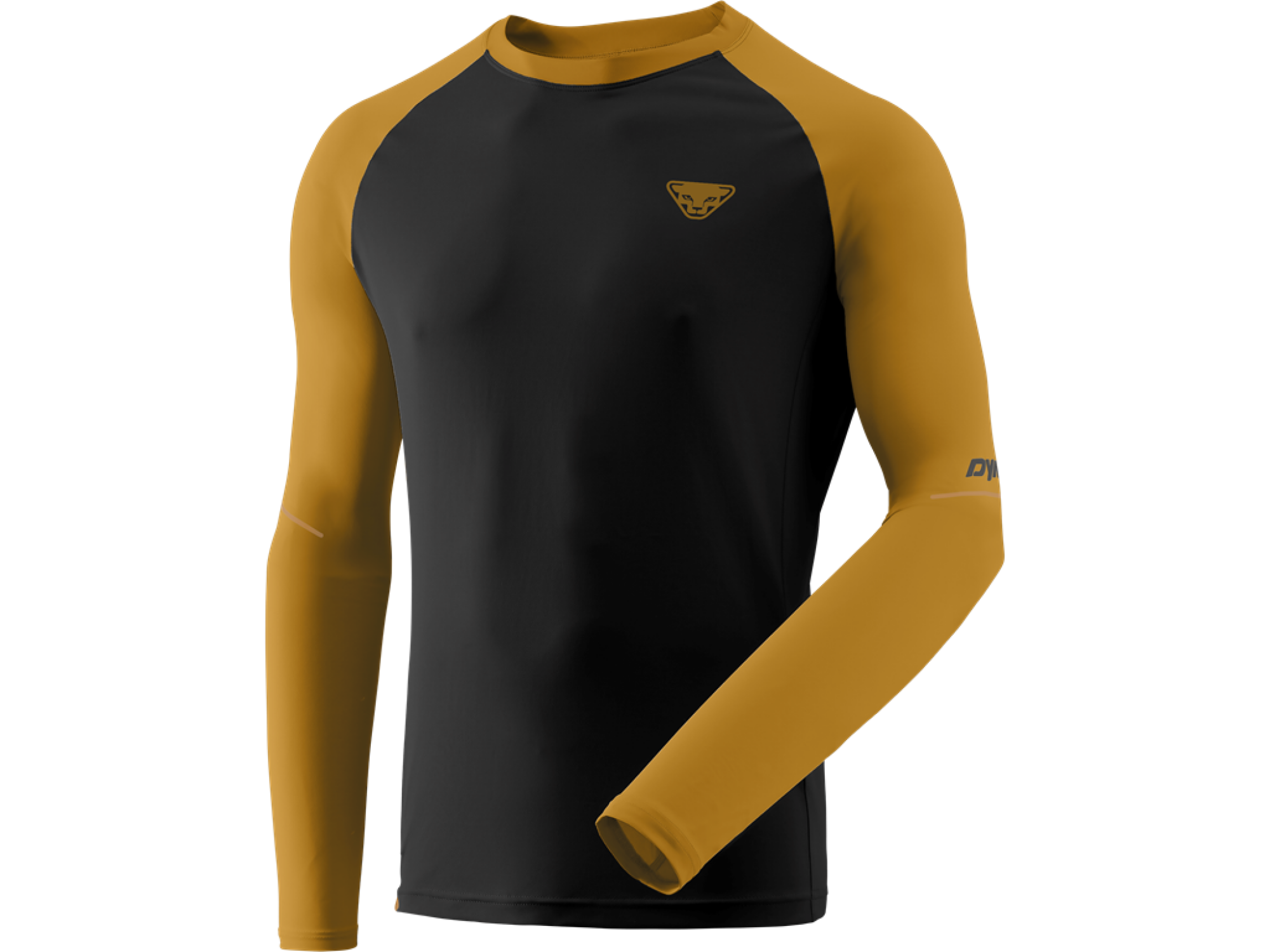 Pull manches longues Alpine Pro hommes