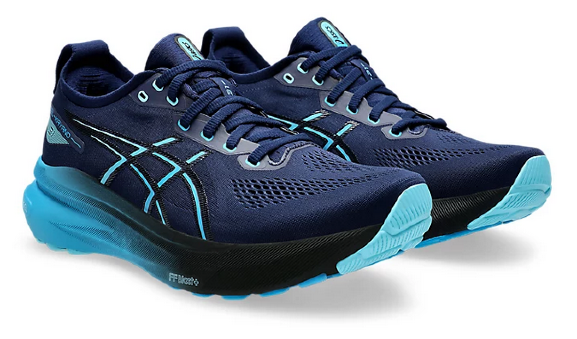 Asics Kayano 31