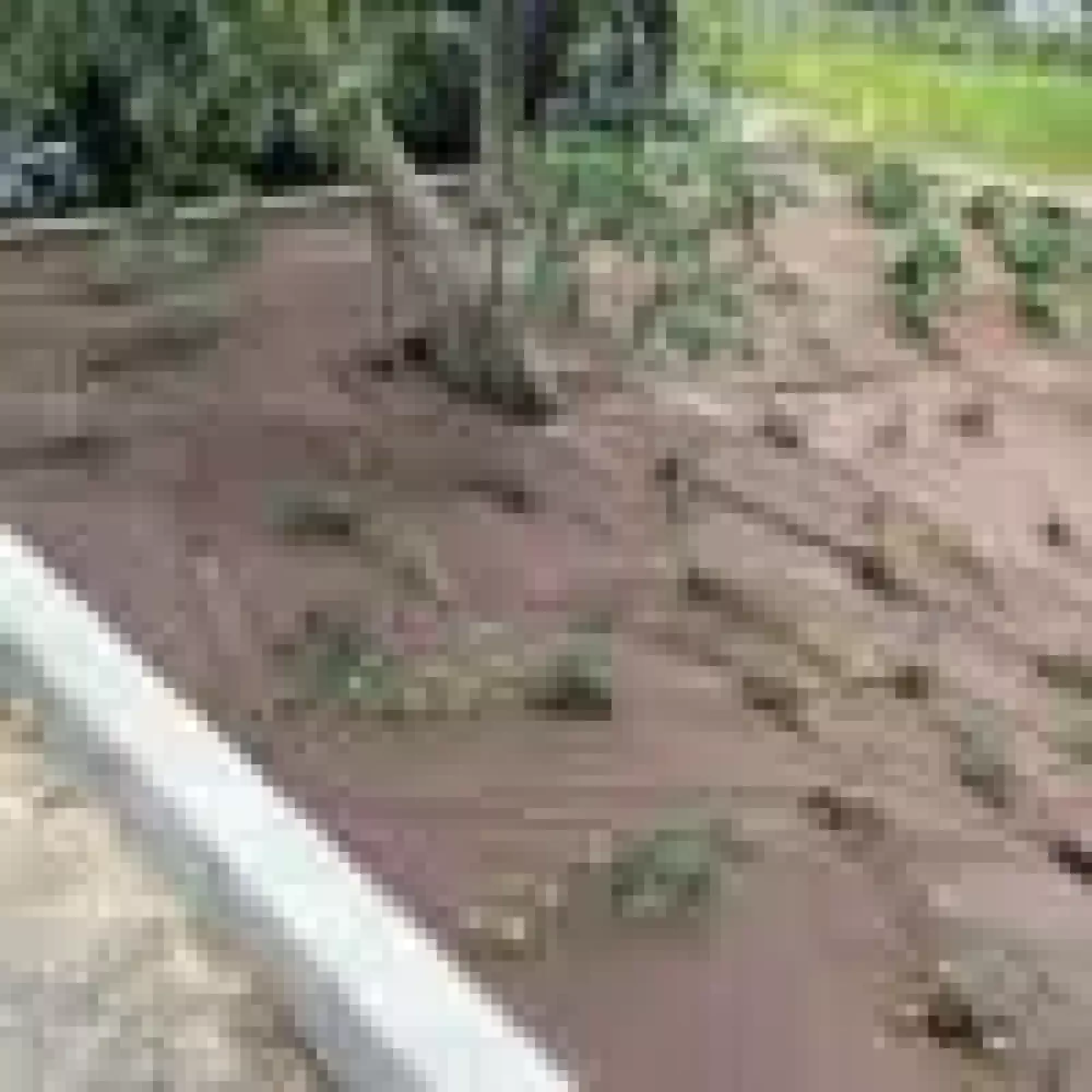 Toile PREMIUM NT 1,10m x 100m Non tissé 1 face marron, 1 face noire 105,90 €