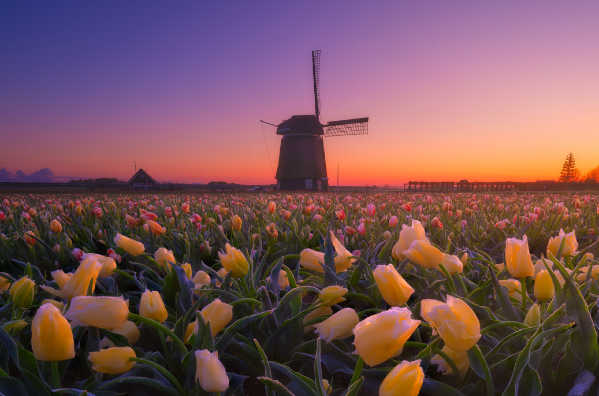 INSOLITE PAQUES en Hollande Du 18 au 21 Avril 2025