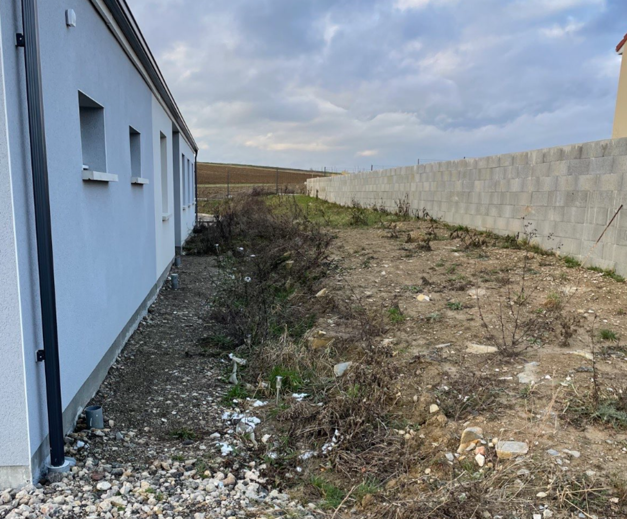 Création de massif, aménagement entrée de maison, Pa japonais, plantation des végétaux